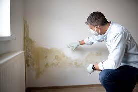 Best Mold Documentation for Insurance Claims  in Lake Of The Woods, IL